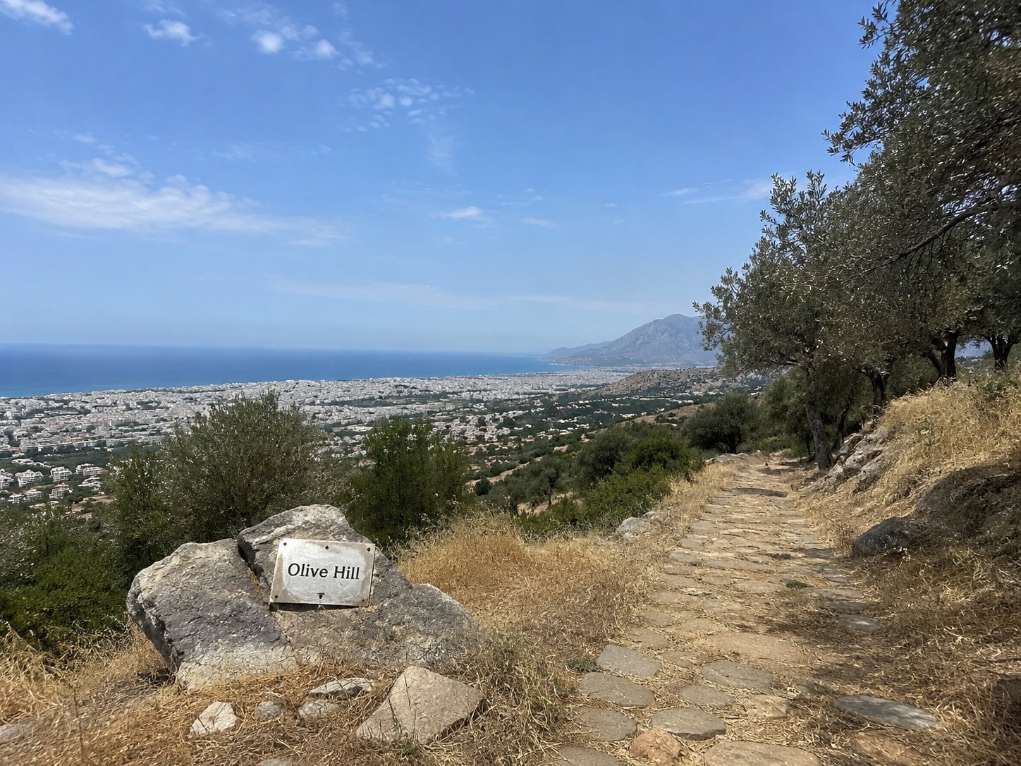 Olive Hill